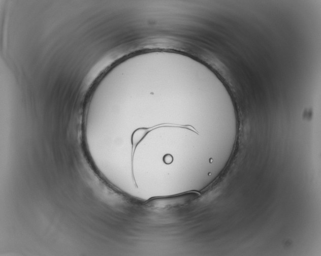 X0000113121130200908281432