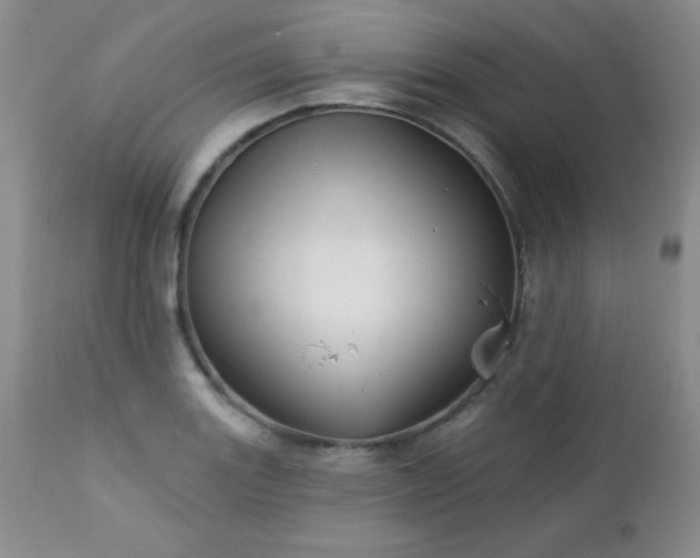 X0000113121131200908281432