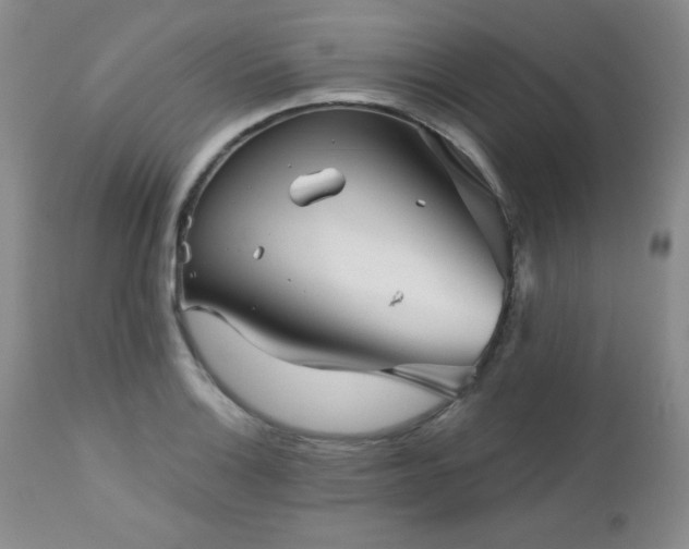 X0000113121132200908281432