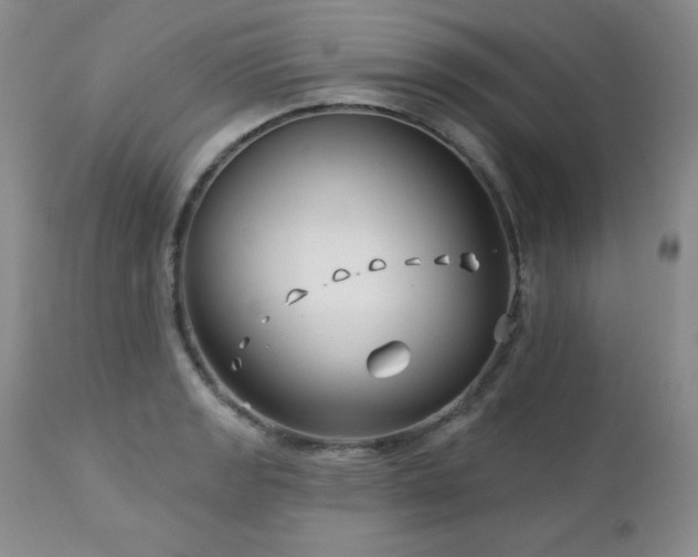 X0000113121133200908281432