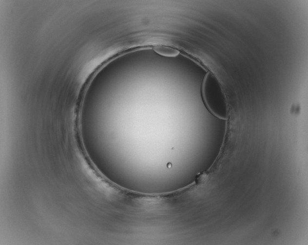 X0000113121134200908281432