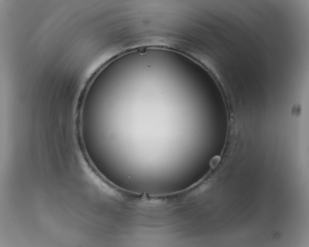 X0000113121135200908281432