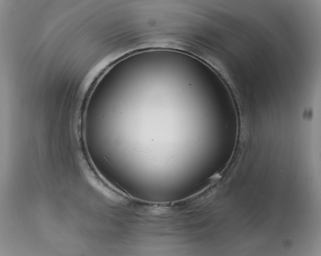 X0000113121136200908281432