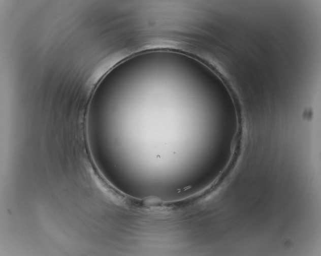 X0000113121137200908281432