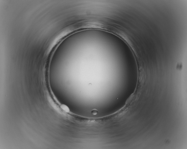 X0000113121139200908281432