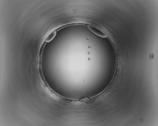 X0000113121140200908281432