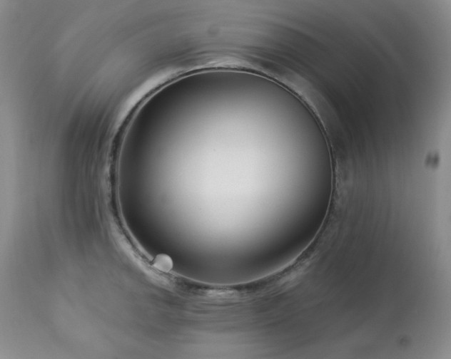 X0000113121142200908281432