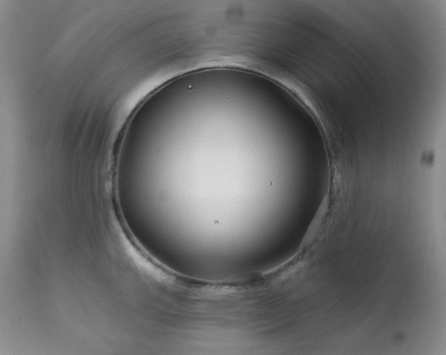 X0000113121143200908281432