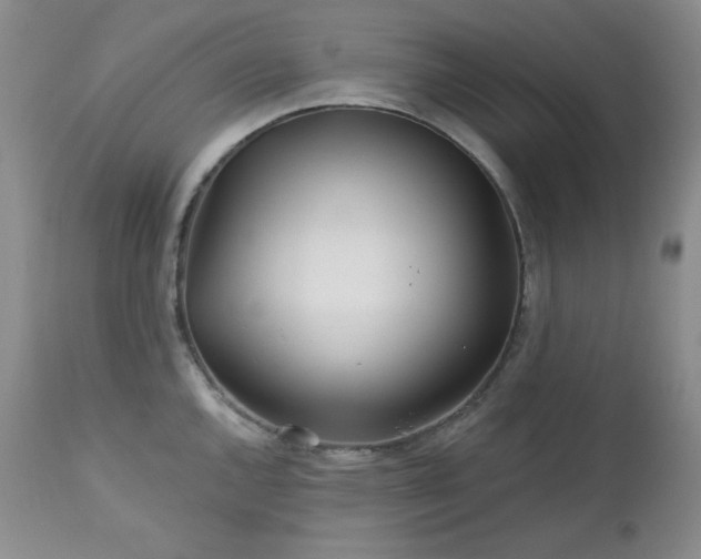 X0000113121144200908281432