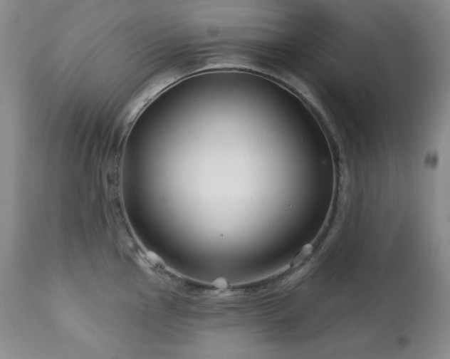 X0000113121145200908281432