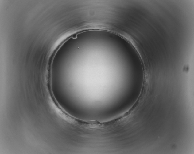 X0000113121147200908281432