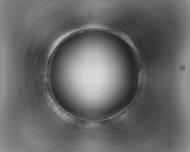 X0000113121148200908281432