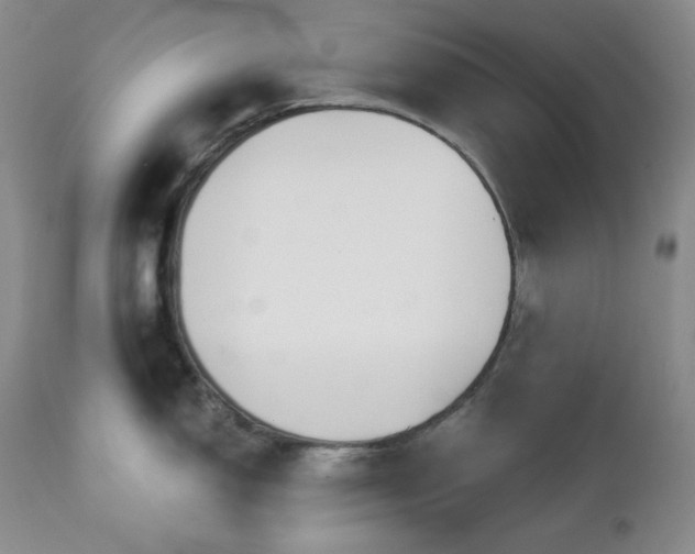 X0000113121150200908281432