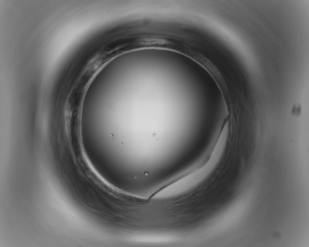 X0000113121151200908281432