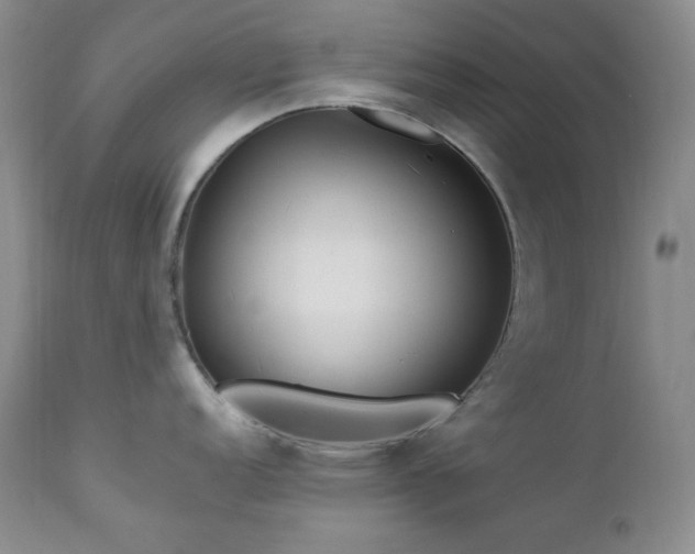 X0000113121152200908281432