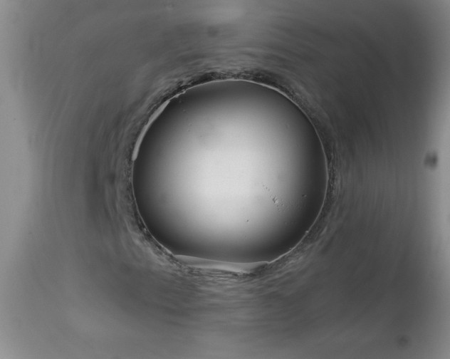 X0000113121153200908281431