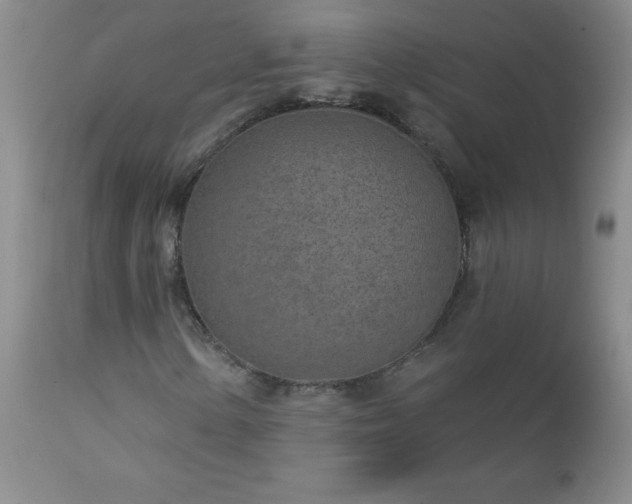 X0000113121154200908281431