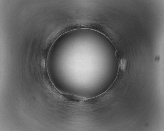 X0000113121155200908281431