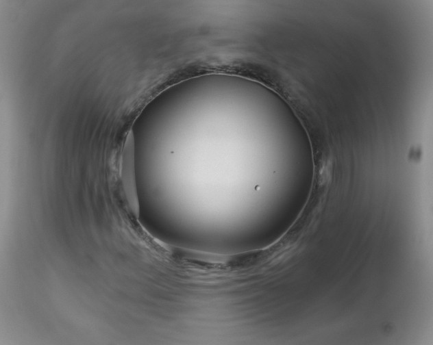 X0000113121156200908281431