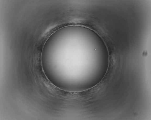 X0000113121158200908281431