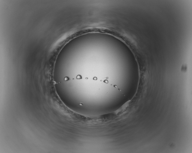 X0000113121159200908281431