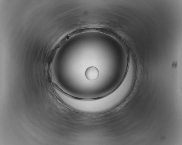 X0000113121161200908281431