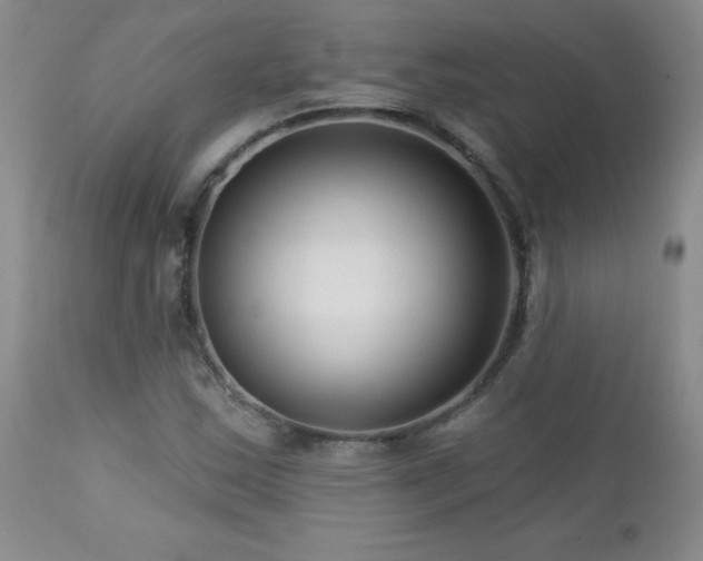 X0000113121163200908281431