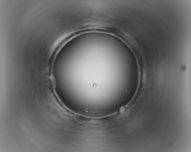 X0000113121164200908281431