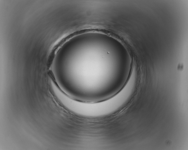 X0000113121165200908281431