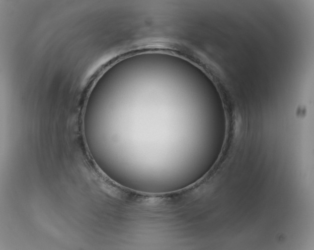 X0000113121166200908281431