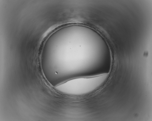 X0000113121168200908281431