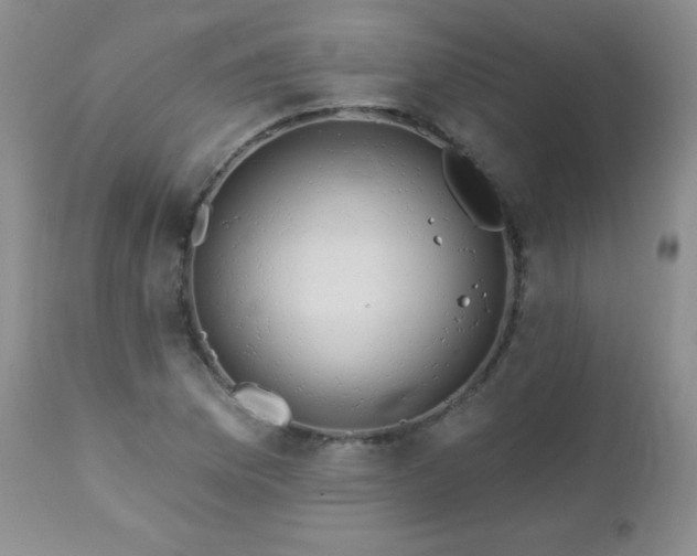 X0000113121169200908281431