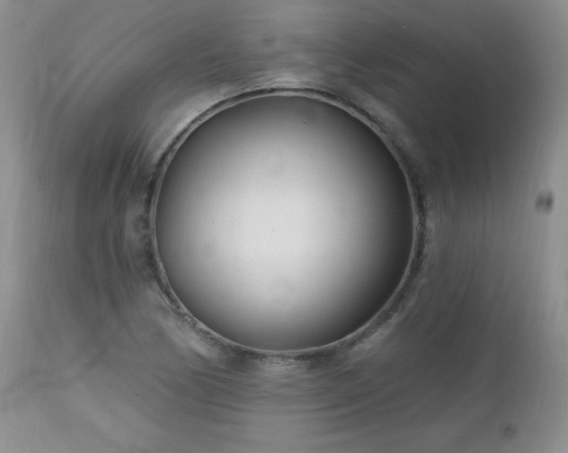 X0000113121170200908281431