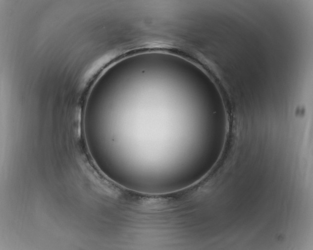 X0000113121171200908281431