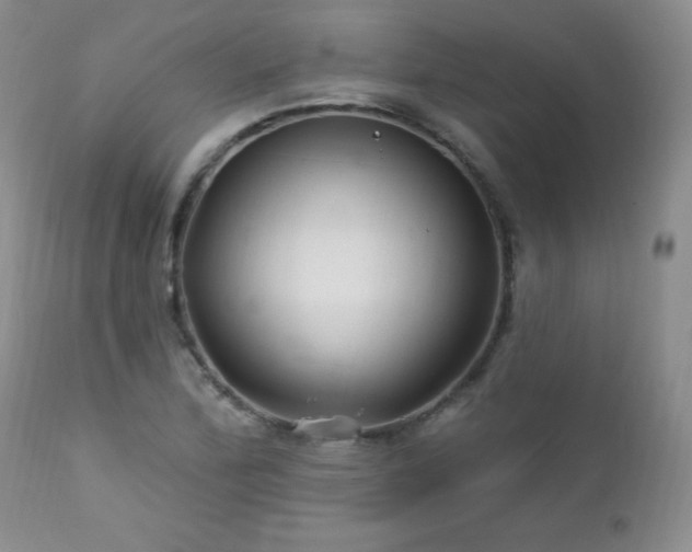 X0000113121172200908281431