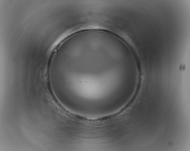 X0000113121173200908281431