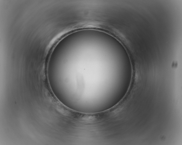 X0000113121174200908281431