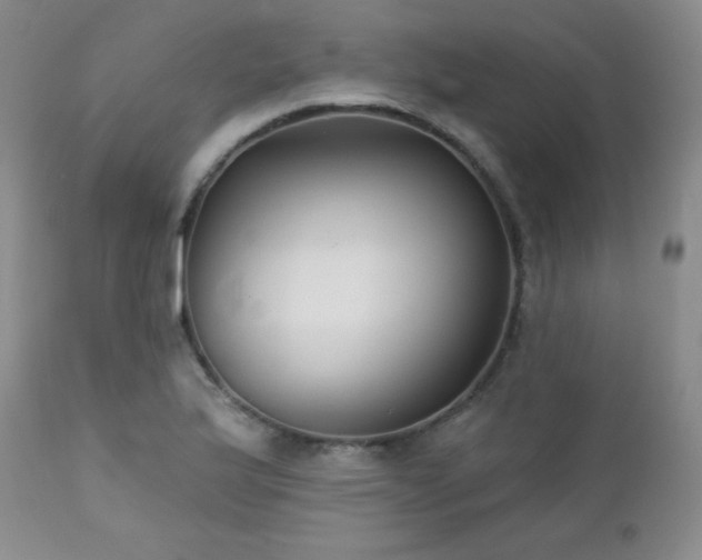 X0000113121175200908281431