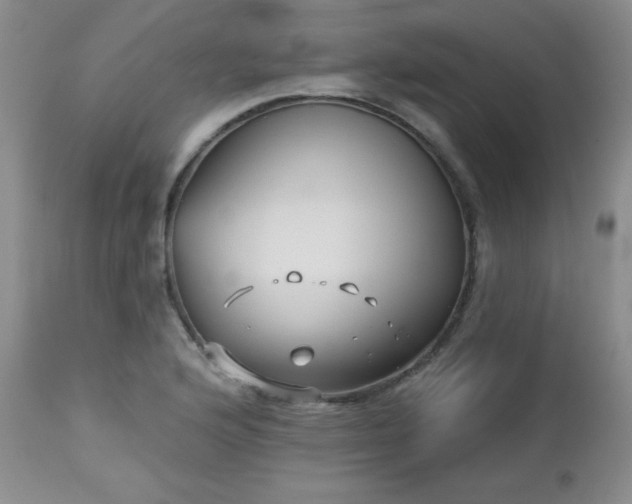 X0000113121176200908281431