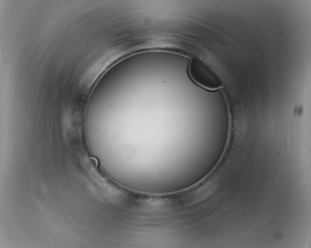 X0000113121177200908281431