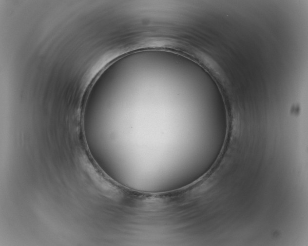 X0000113121178200908281431