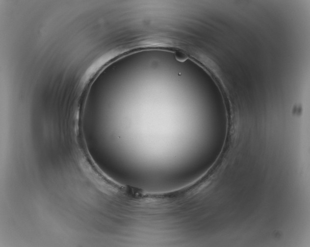 X0000113121179200908281431