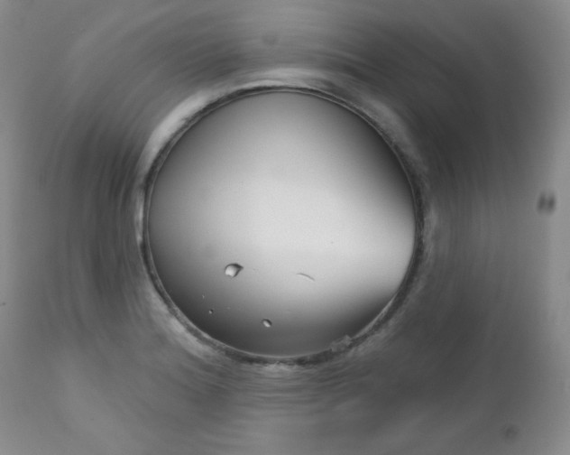 X0000113121180200908281431