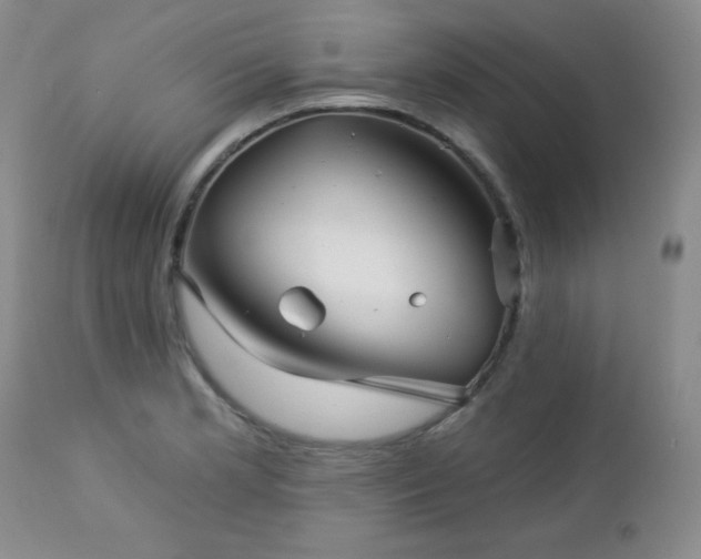 X0000113121181200908281431