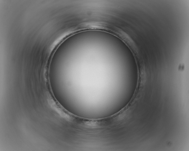 X0000113121182200908281431