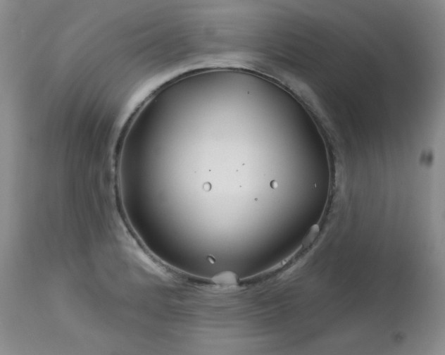 X0000113121184200908281431