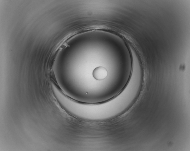 X0000113121185200908281431