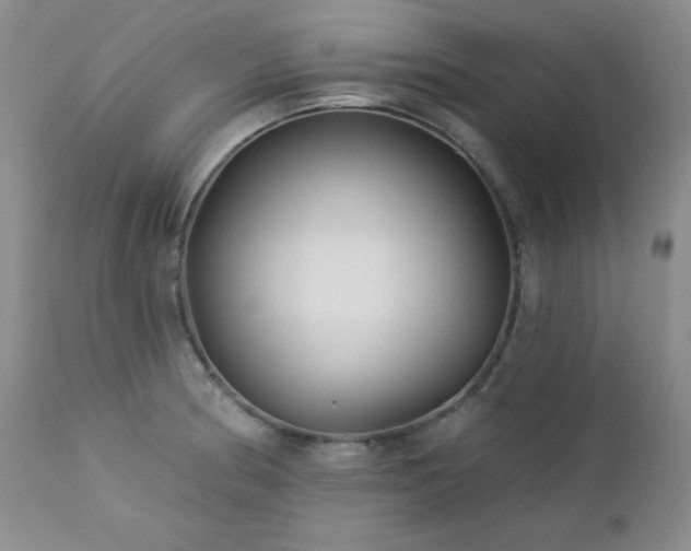 X0000113121186200908281431