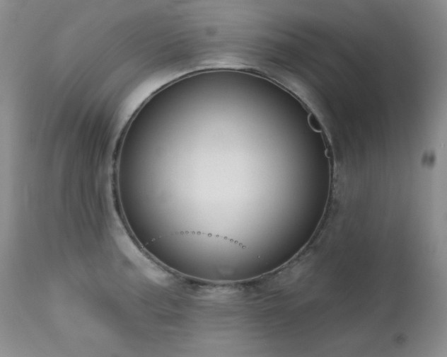 X0000113121187200908281431