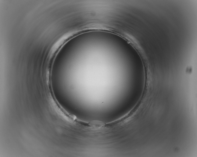 X0000113121188200908281431